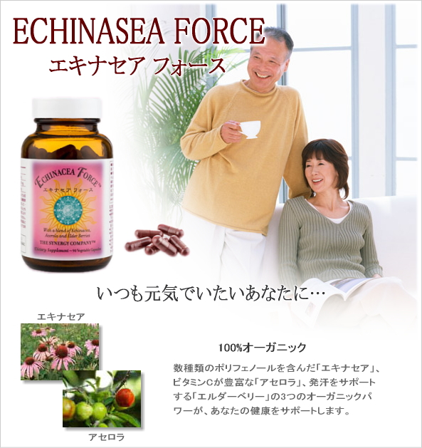 エキナセアフォース