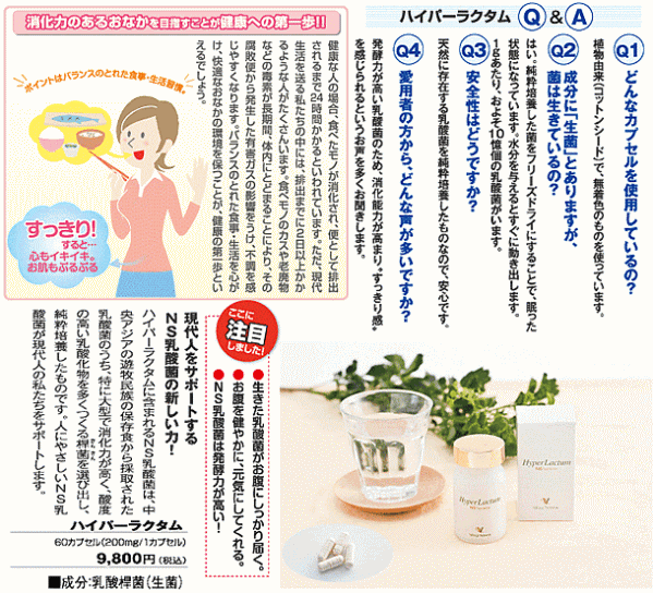 NS乳酸菌 ハイパーラクタム