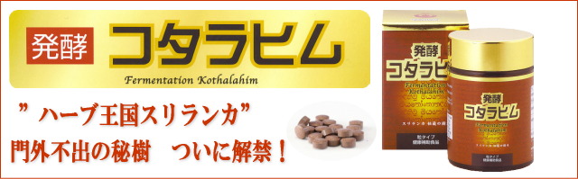 発酵コタラヒム