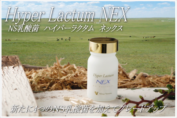 NS乳酸菌「ハイパーラクタムNEX(ネックス)