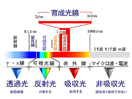 エフ・グラビクス(f-gravics)スーパーエネルギー活水器『効率よく育成光線を放射します』