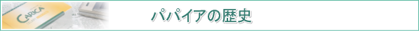 カリカセラピPS501　パパイア発酵食品