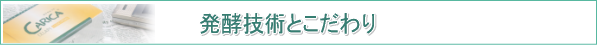 カリカセラピPS501　パパイア発酵食品